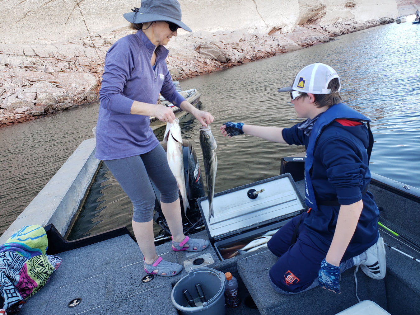 fishing boat rentals lake powell, fishing for strippers and bass